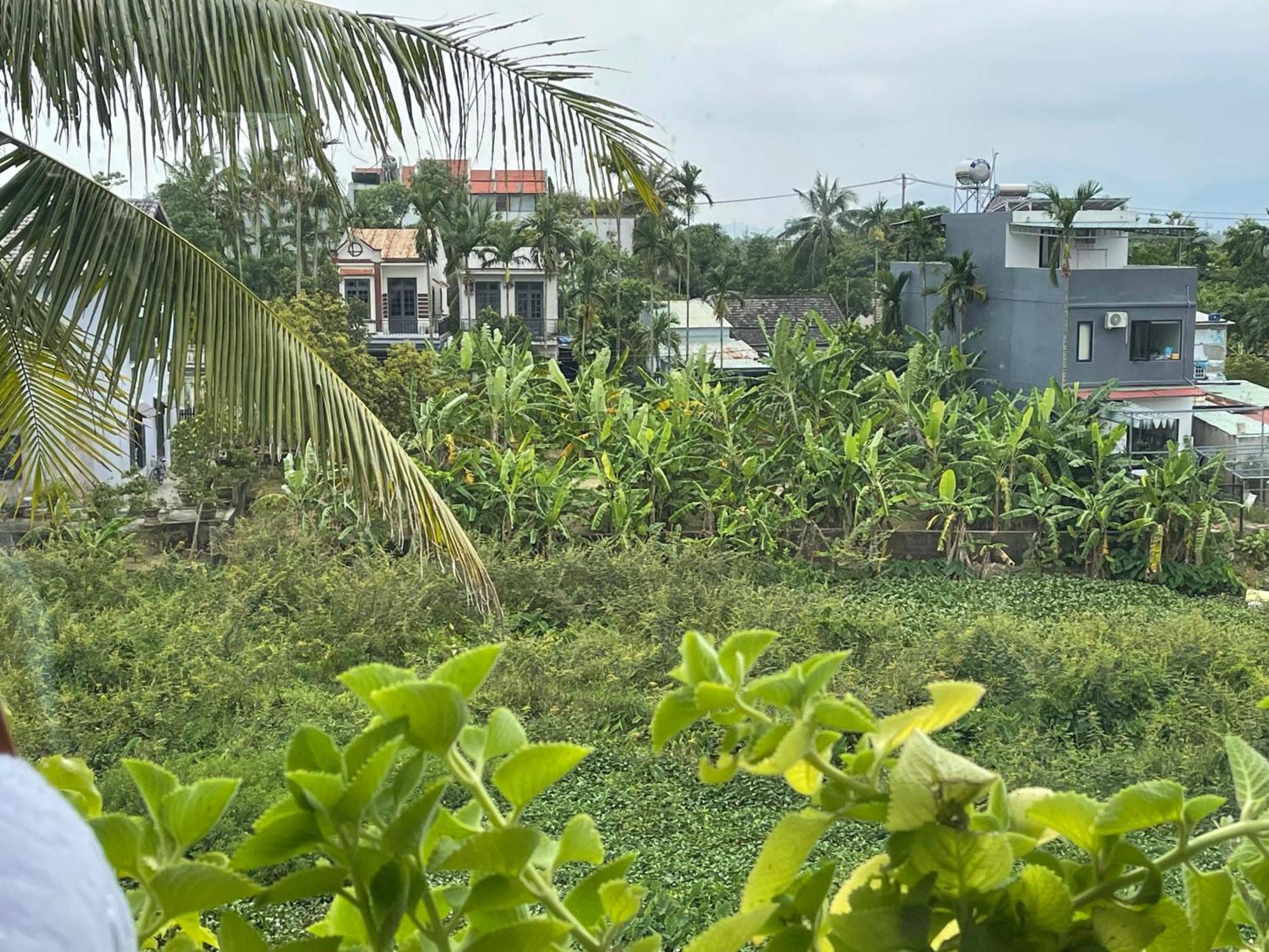 فيلا Hoi An Ti Hon House المظهر الخارجي الصورة
